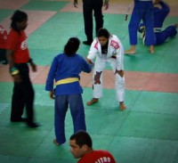 /album/luana%20arag%c3%a3o/a421198-251431438283693-100002505164942-530456-775593707-n-jpg/